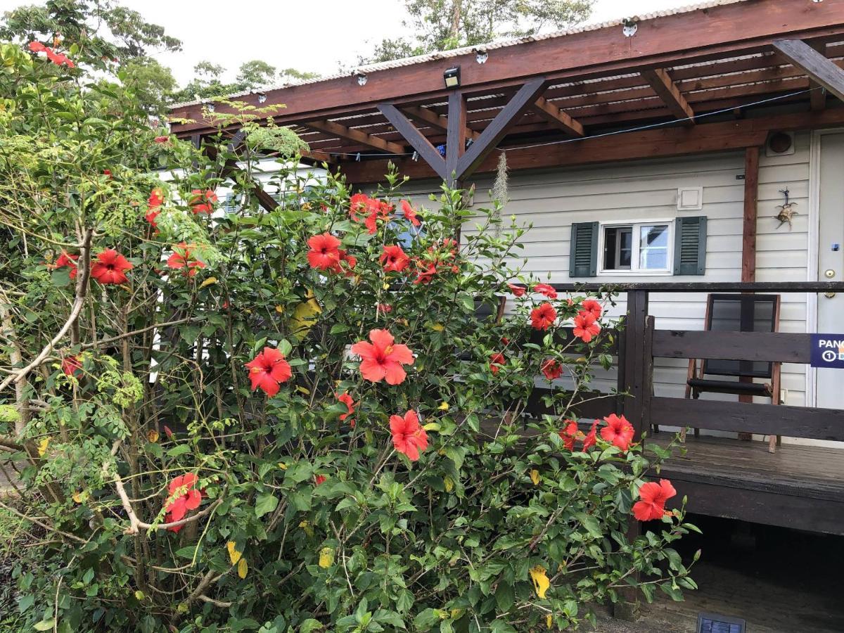 Panorama Ocean View Cottage Motobu Exterior foto